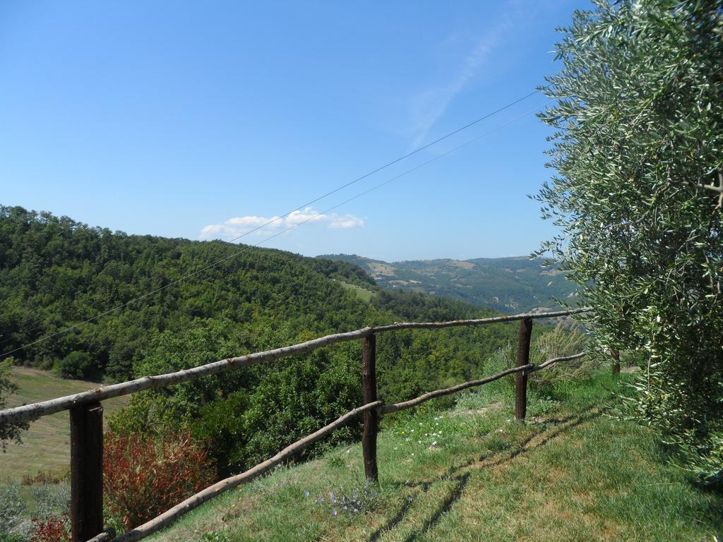 Agriturismo La Terrazza Valfabbrica Dış mekan fotoğraf