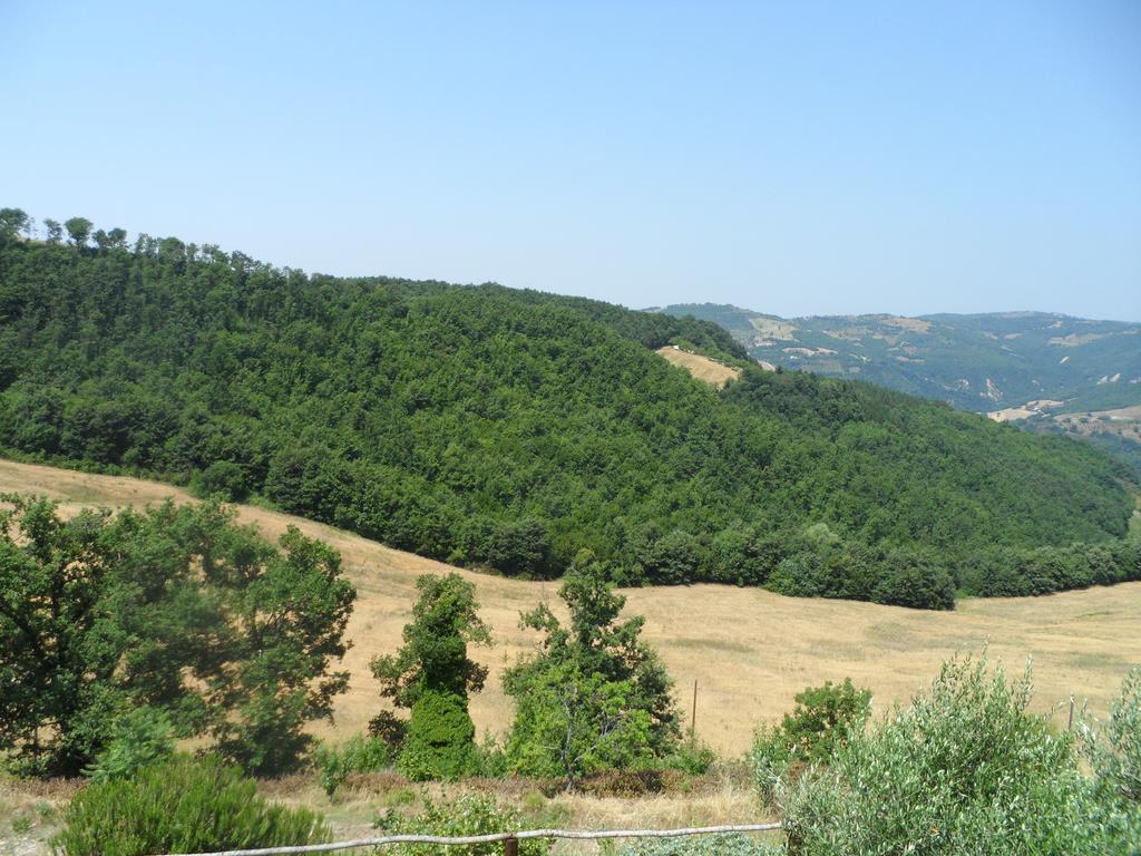 Agriturismo La Terrazza Valfabbrica Dış mekan fotoğraf