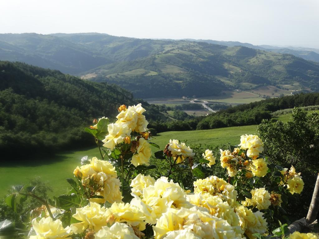 Agriturismo La Terrazza Valfabbrica Dış mekan fotoğraf